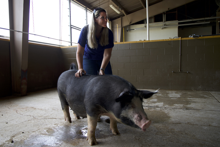 Shelby Parker with pig 