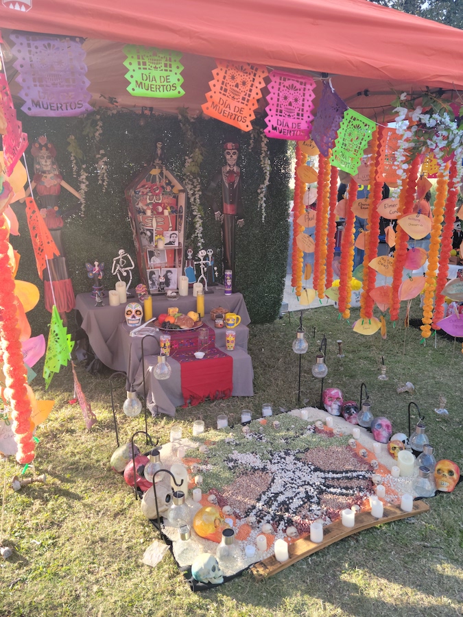 Dia De Los Muertos Cooper at Navarro