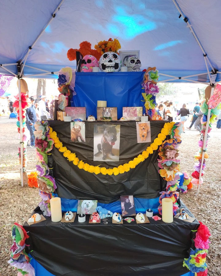 Rodriguez/Steele Montessori Muertos Fest