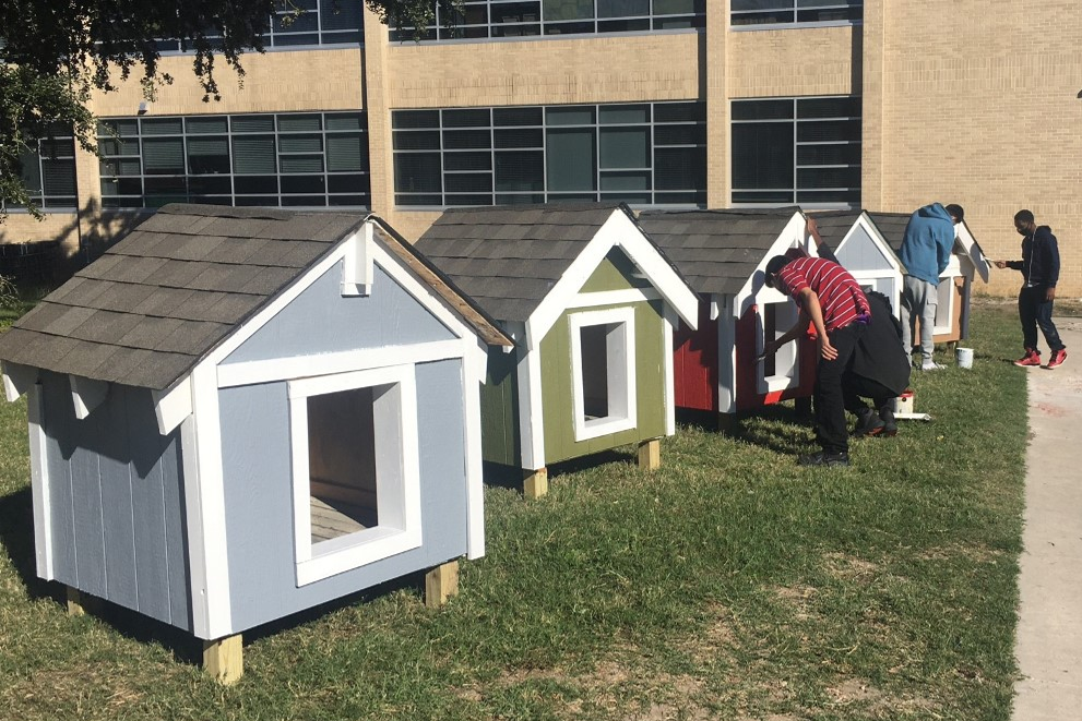 dog house auction