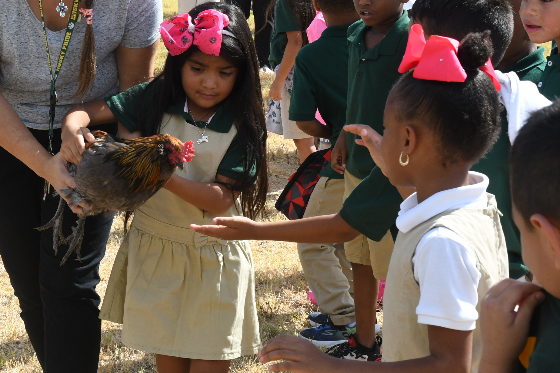 chicken and children