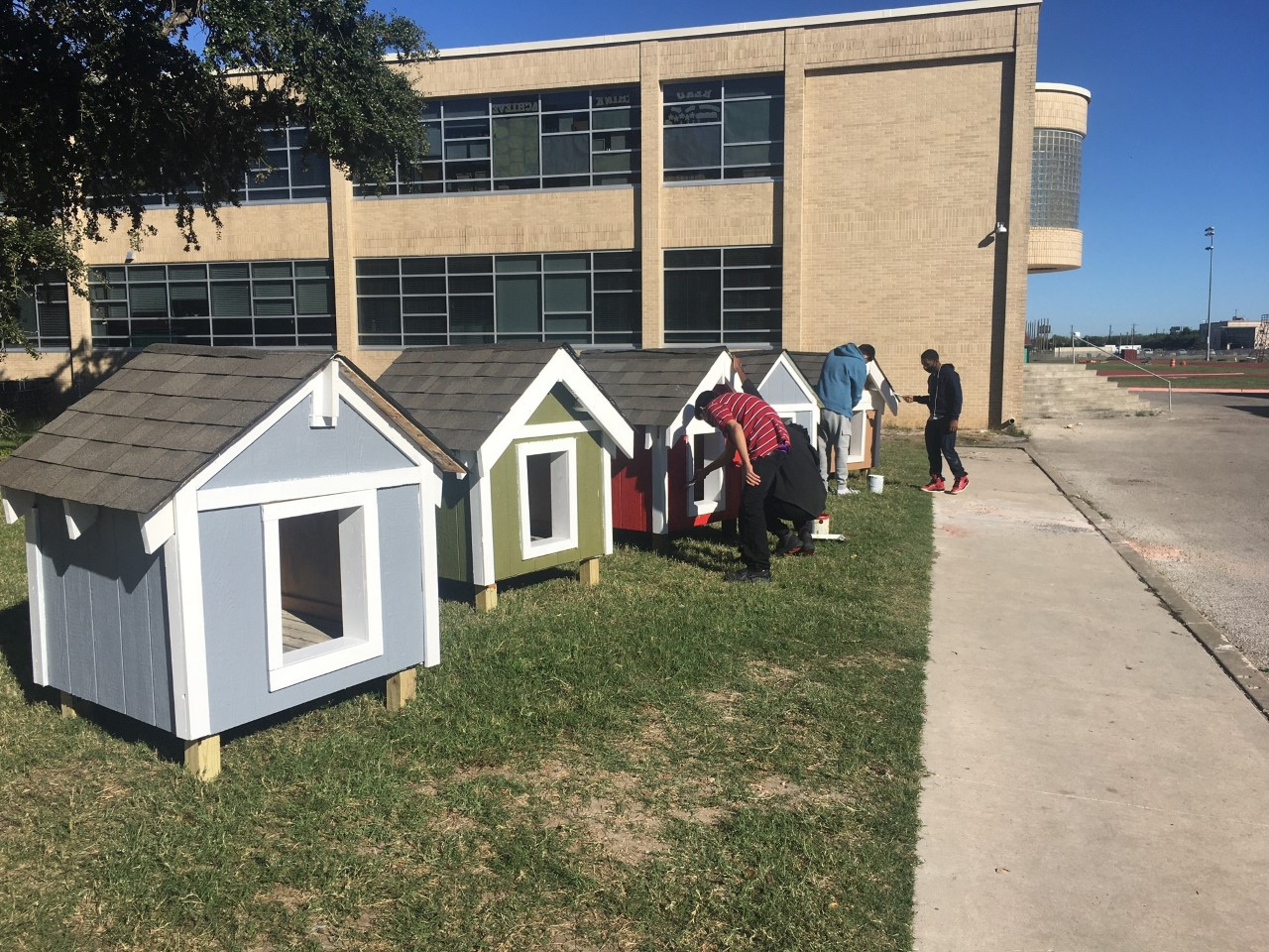 dog house auction