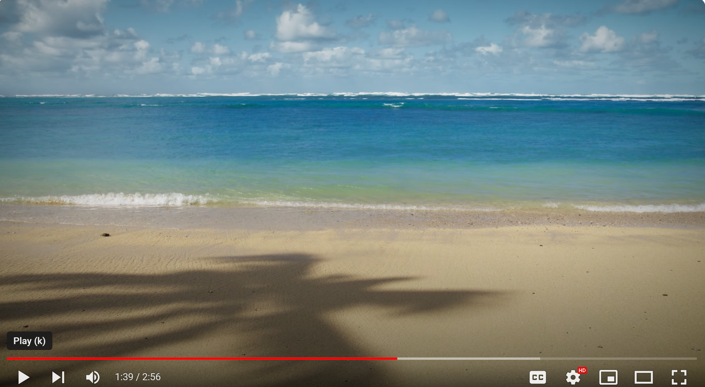 beach scene