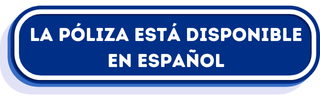 Spanish Policy