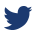 twitter icon